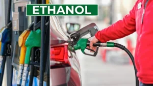 E20 Petrol Safe for Your Car, Says Govt | Ethanol Fuel in India Explained!